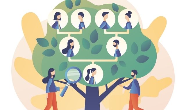 People collaborating on a family tree